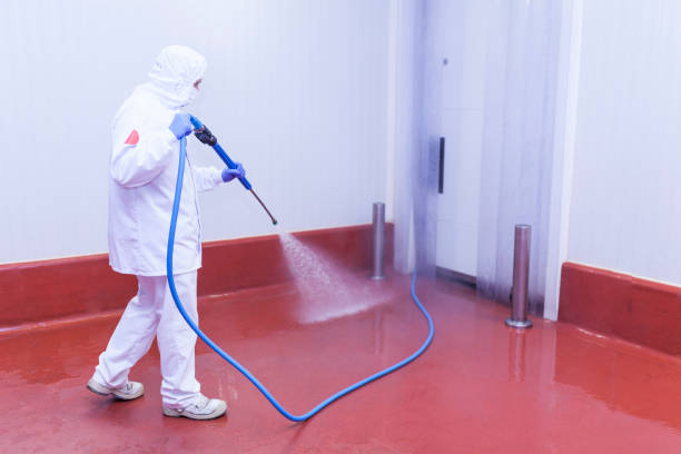 Best Driveway Pressure Washing  in Craig, AK
