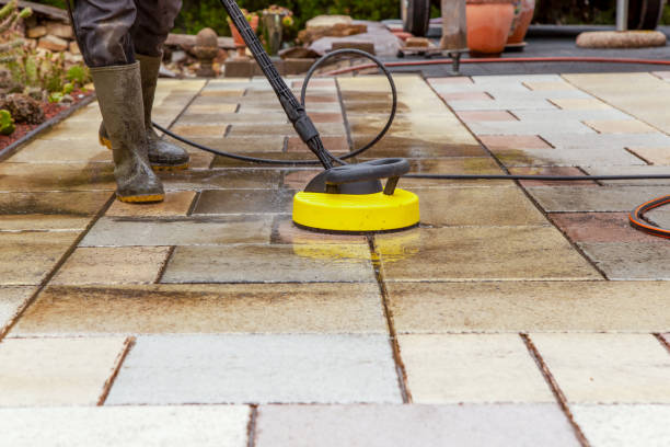 Best Animal Enclosure Cleaning  in Craig, AK