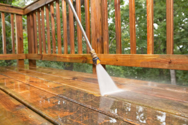 Best Driveway Pressure Washing  in Craig, AK